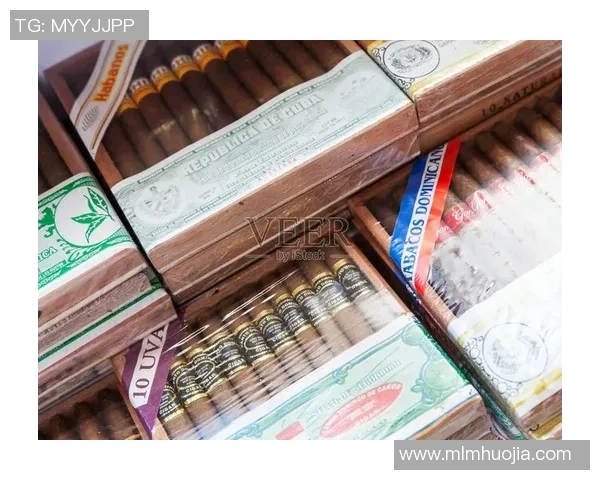 多米尼加共和国与古巴的历史文化对比与经济发展探讨