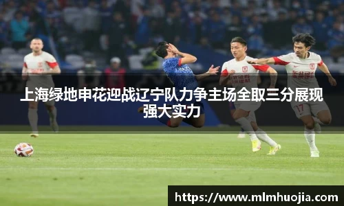 上海绿地申花迎战辽宁队力争主场全取三分展现强大实力