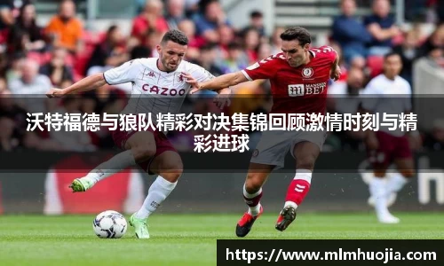 半岛体育APP